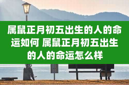 属鼠正月初五出生的人的命运如何 属鼠正月初五出生的人的命运怎么样