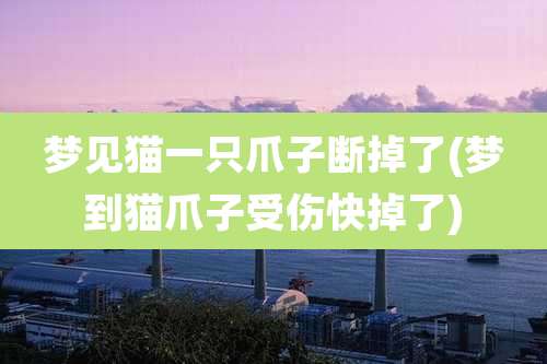 梦见猫一只爪子断掉了(梦到猫爪子受伤快掉了)