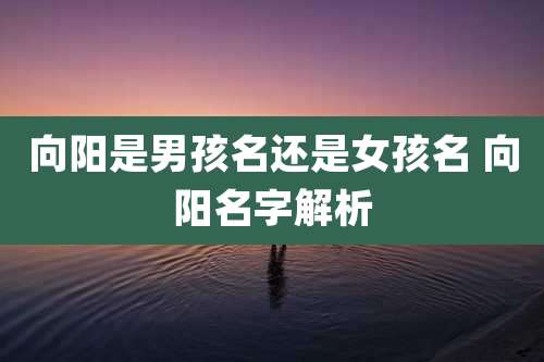 向阳是男孩名还是女孩名 向阳名字解析