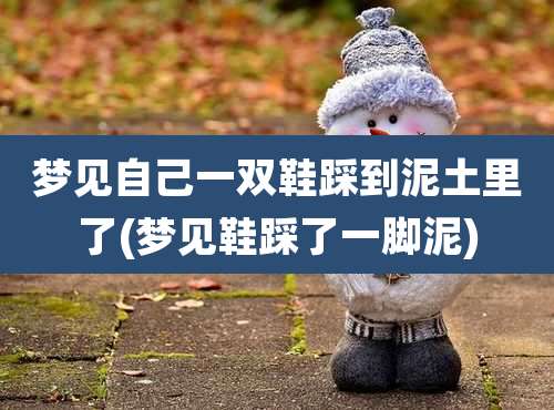 梦见自己一双鞋踩到泥土里了(梦见鞋踩了一脚泥)
