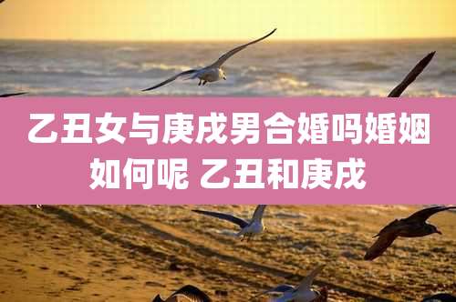 乙丑女与庚戌男合婚吗婚姻如何呢 乙丑和庚戌