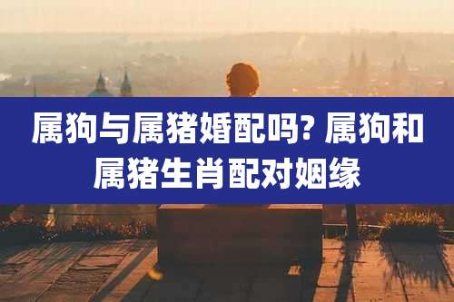 属狗与属猪婚配吗? 属狗和属猪生肖配对姻缘