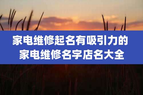 家电维修起名有吸引力的 家电维修名字店名大全