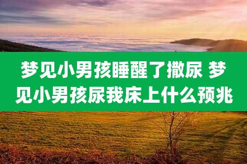 梦见小男孩睡醒了撒尿 梦见小男孩尿我床上什么预兆