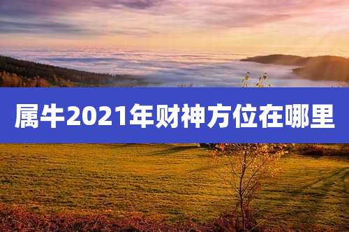 属牛2021年财神方位在哪里