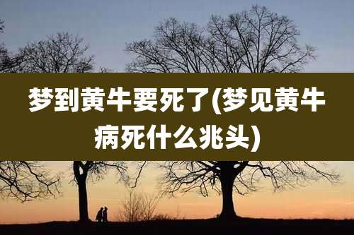 梦到黄牛要死了(梦见黄牛病死什么兆头)