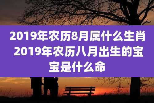 2019年农历8月属什么生肖 2019年农历八月出生的宝宝是什么命