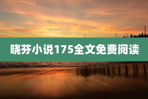 晓芬小说175全文免费阅读