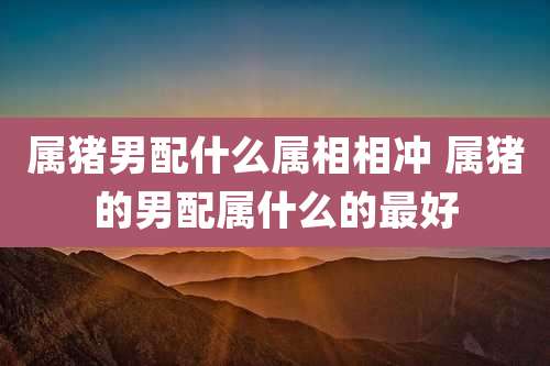属猪男配什么属相相冲 属猪的男配属什么的最好