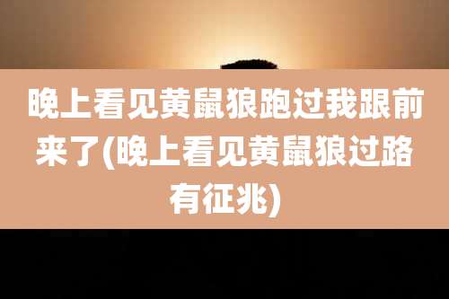 晚上看见黄鼠狼跑过我跟前来了(晚上看见黄鼠狼过路有征兆)