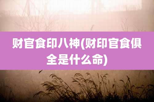 财官食印八神(财印官食俱全是什么命)