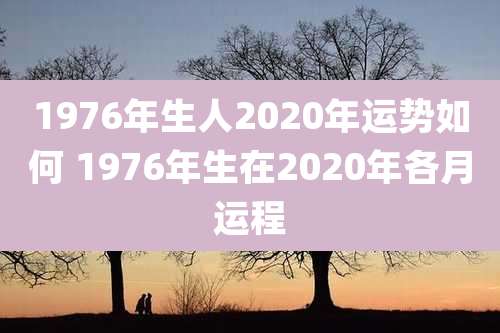 1976年生人2020年运势如何 1976年生在2020年各月运程