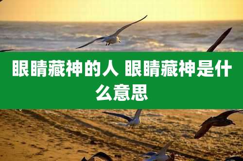 眼睛藏神的人 眼睛藏神是什么意思
