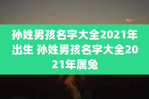 孙姓男孩名字大全2021年出生 孙姓男孩名字大全2021年属兔