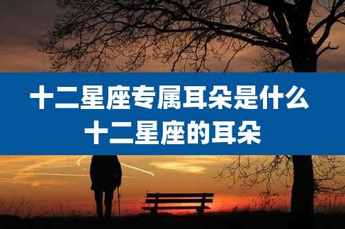 十二星座专属耳朵是什么 十二星座的耳朵