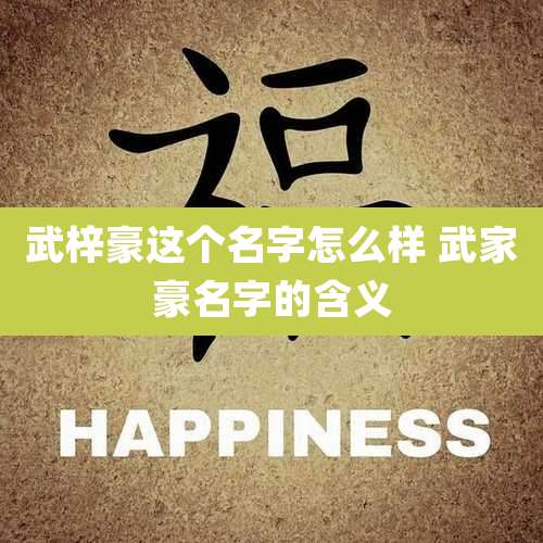 武梓豪这个名字怎么样 武家豪名字的含义