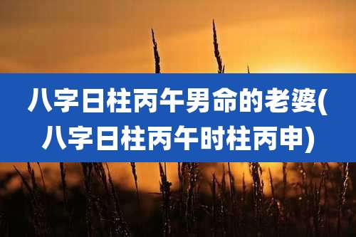 八字日柱丙午男命的老婆(八字日柱丙午时柱丙申)