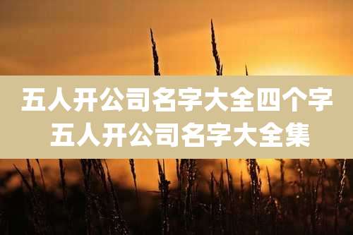 五人开公司名字大全四个字 五人开公司名字大全集
