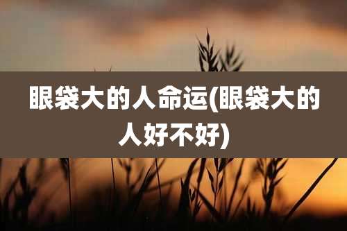 眼袋大的人命运(眼袋大的人好不好)