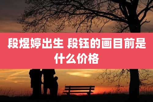 段煜婷出生 段钰的画目前是什么价格