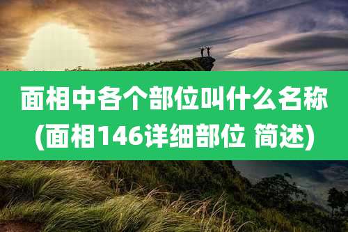 面相中各个部位叫什么名称(面相146详细部位 简述)