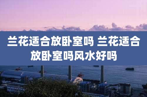 兰花适合放卧室吗 兰花适合放卧室吗风水好吗