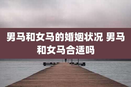 男马和女马的婚姻状况 男马和女马合适吗