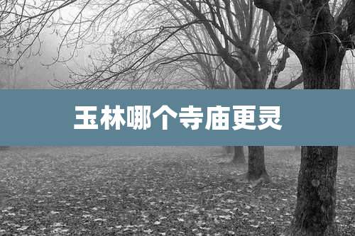 玉林哪个寺庙更灵