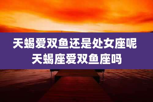 天蝎爱双鱼还是处女座呢 天蝎座爱双鱼座吗