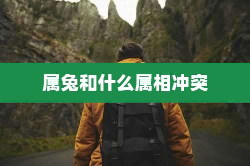 属兔和什么属相冲突