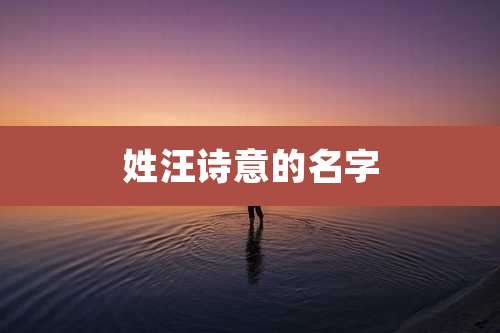 姓汪诗意的名字