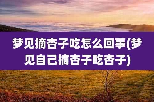 梦见摘杏子吃怎么回事(梦见自己摘杏子吃杏子)