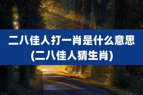 二八佳人打一肖是什么意思(二八佳人猜生肖)