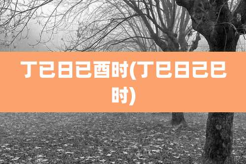 丁已日已酉时(丁巳日己巳时)