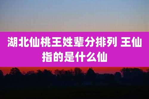 湖北仙桃王姓辈分排列 王仙指的是什么仙