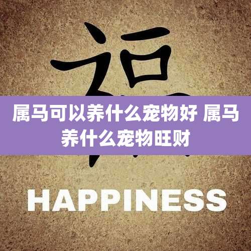 属马可以养什么宠物好 属马养什么宠物旺财