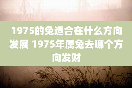 1975的兔适合在什么方向发展 1975年属兔去哪个方向发财