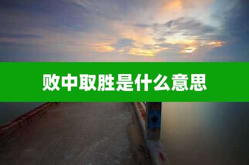 败中取胜是什么意思