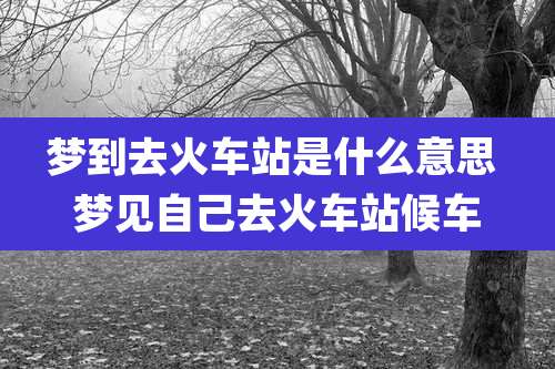 梦到去火车站是什么意思 梦见自己去火车站候车
