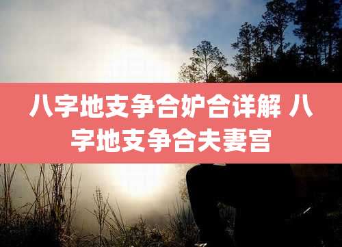 八字地支争合妒合详解 八字地支争合夫妻宫