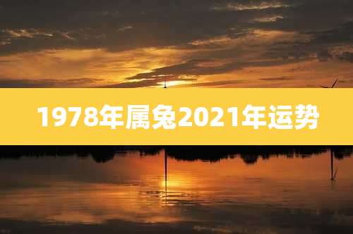 1978年属兔2021年运势