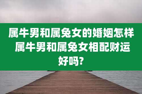 属牛男和属兔女的婚姻怎样 属牛男和属兔女相配财运好吗?