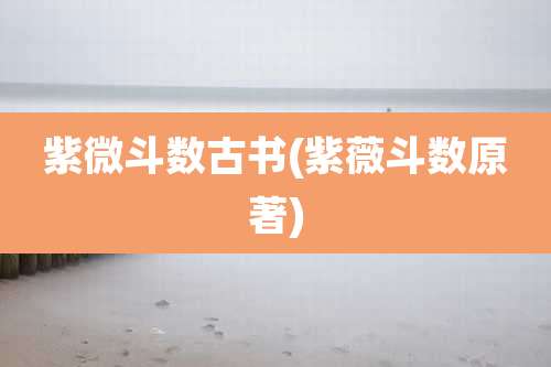 紫微斗数古书(紫薇斗数原著)