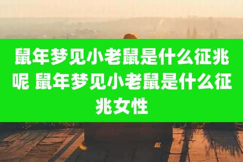 鼠年梦见小老鼠是什么征兆呢 鼠年梦见小老鼠是什么征兆女性