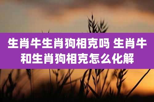 生肖牛生肖狗相克吗 生肖牛和生肖狗相克怎么化解