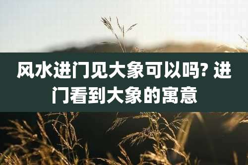 风水进门见大象可以吗? 进门看到大象的寓意