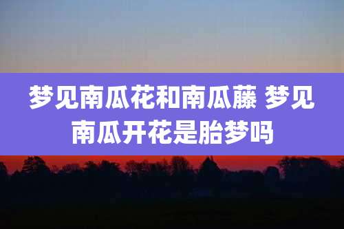 梦见南瓜花和南瓜藤 梦见南瓜开花是胎梦吗