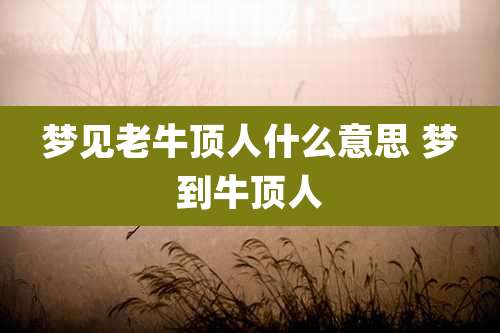 梦见老牛顶人什么意思 梦到牛顶人