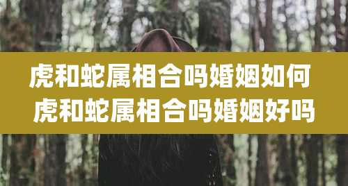 虎和蛇属相合吗婚姻如何 虎和蛇属相合吗婚姻好吗