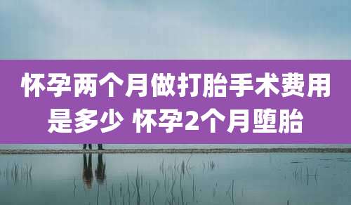 怀孕两个月做打胎手术费用是多少 怀孕2个月堕胎